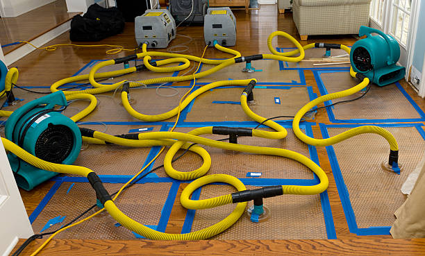 Professional Emergency Water Removal technician working in Woodstock, VA